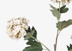 Urban Barn Raylee Snowball Branch- Blooms & Branches