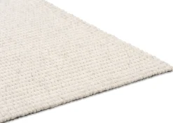 Urban Barn Richard Rugs - Ivory- Area Rugs
