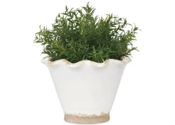 Urban Barn Ruffled Planter- Vases & Planters