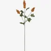 Urban Barn Scarlett Firethorn Stem Orange- Blooms & Branches