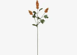 Urban Barn Scarlett Firethorn Stem Orange- Blooms & Branches