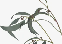 Urban Barn Shay Gumnut Leaf Branch- Blooms & Branches