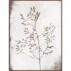Urban Barn Sprout Wall Art- Wall Art