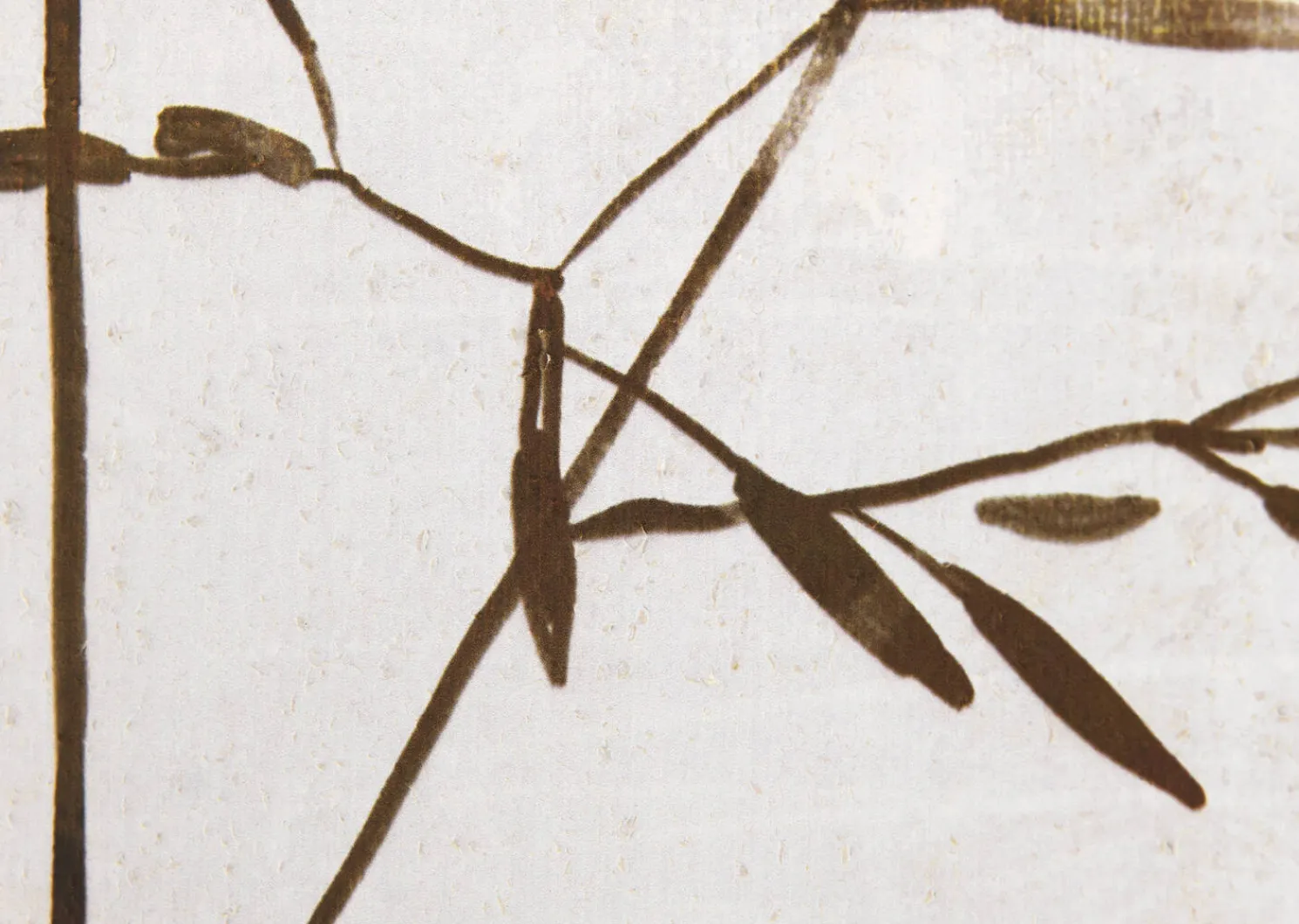 Urban Barn Sprout Wall Art- Wall Art