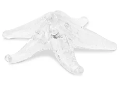 Urban Barn Starfish Decor Clear- Decorative Accents