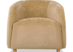 Urban Barn Statler Armchair- Accent Chairs