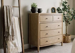 Urban Barn Suri Eucalyptus Plant Potted- Blooms & Branches