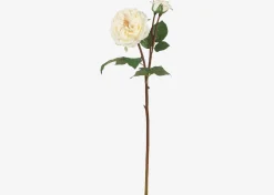 Urban Barn Talia Rose Branch- Blooms & Branches