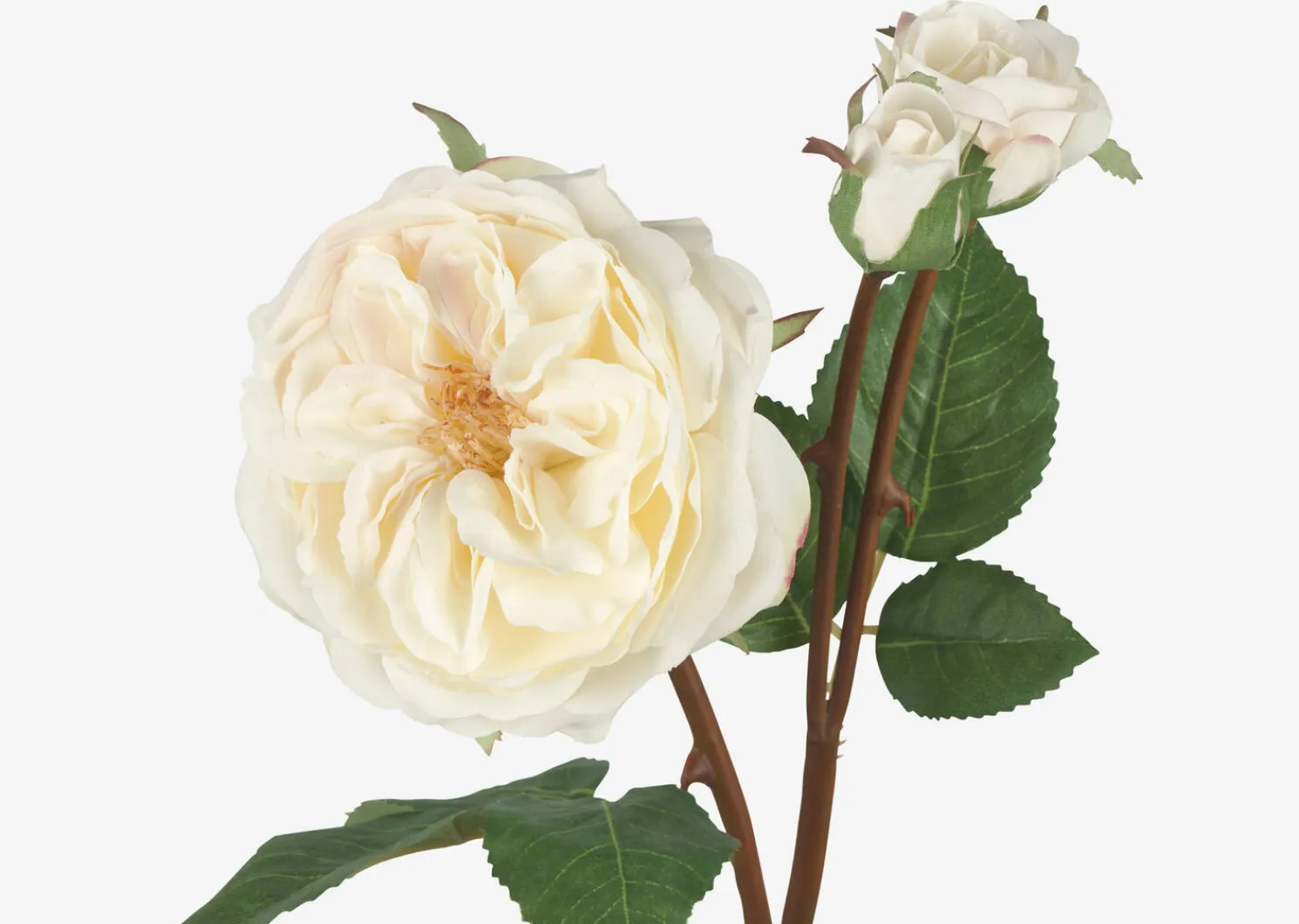 Urban Barn Talia Rose Branch- Blooms & Branches