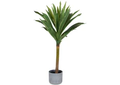 Urban Barn Tate Dracaena Tree Potted- Blooms & Branches