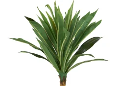 Urban Barn Tate Dracaena Tree Potted- Blooms & Branches