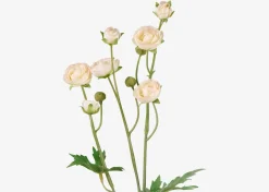 Urban Barn Tove Mini Ranunculus- Blooms & Branches