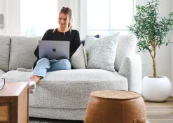 Urban Barn Tristin Olive Tree Potted Large- Blooms & Branches