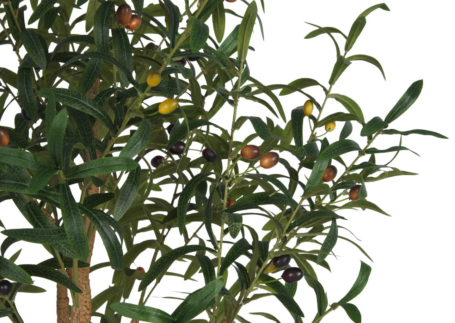 Urban Barn Tristin Olive Tree Potted Large- Blooms & Branches