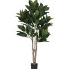 Urban Barn Troye Rubber Tree Potted- Blooms & Branches