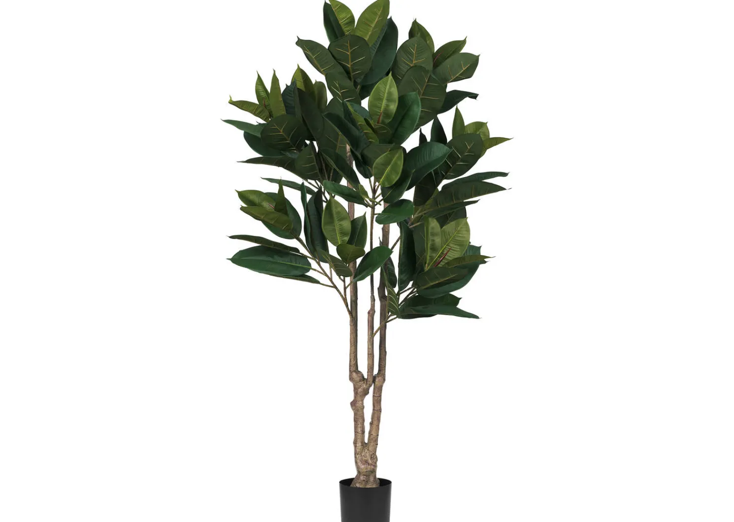 Urban Barn Troye Rubber Tree Potted- Blooms & Branches