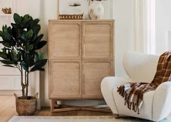 Urban Barn Troye Rubber Tree Potted- Blooms & Branches