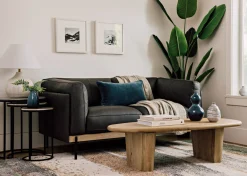 Urban Barn Vincent Leather Sofa -Kai Sedona- Sofas & Sectionals