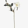 Urban Barn Wess Magnolia Stem- Blooms & Branches