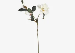 Urban Barn Wess Magnolia Stem- Blooms & Branches