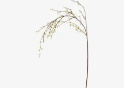 Urban Barn Yuri Forsythia Branch White- Blooms & Branches